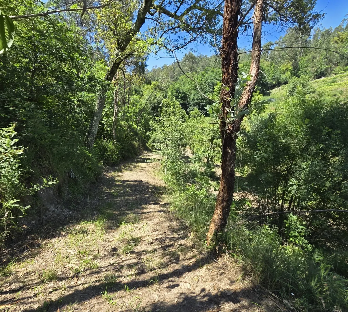 img_12