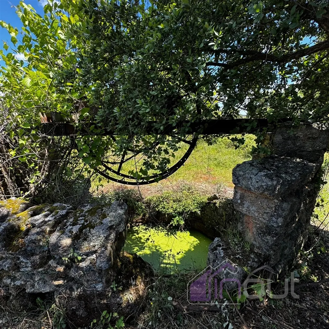 img_28