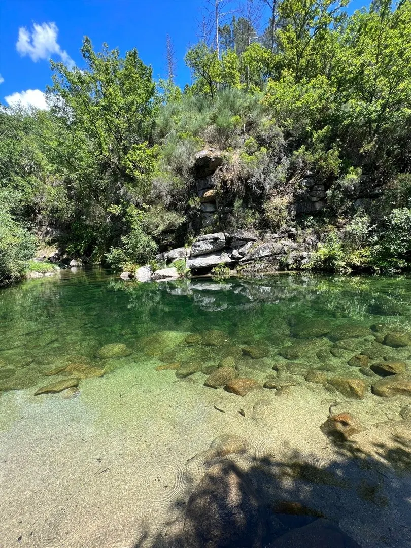 img_12