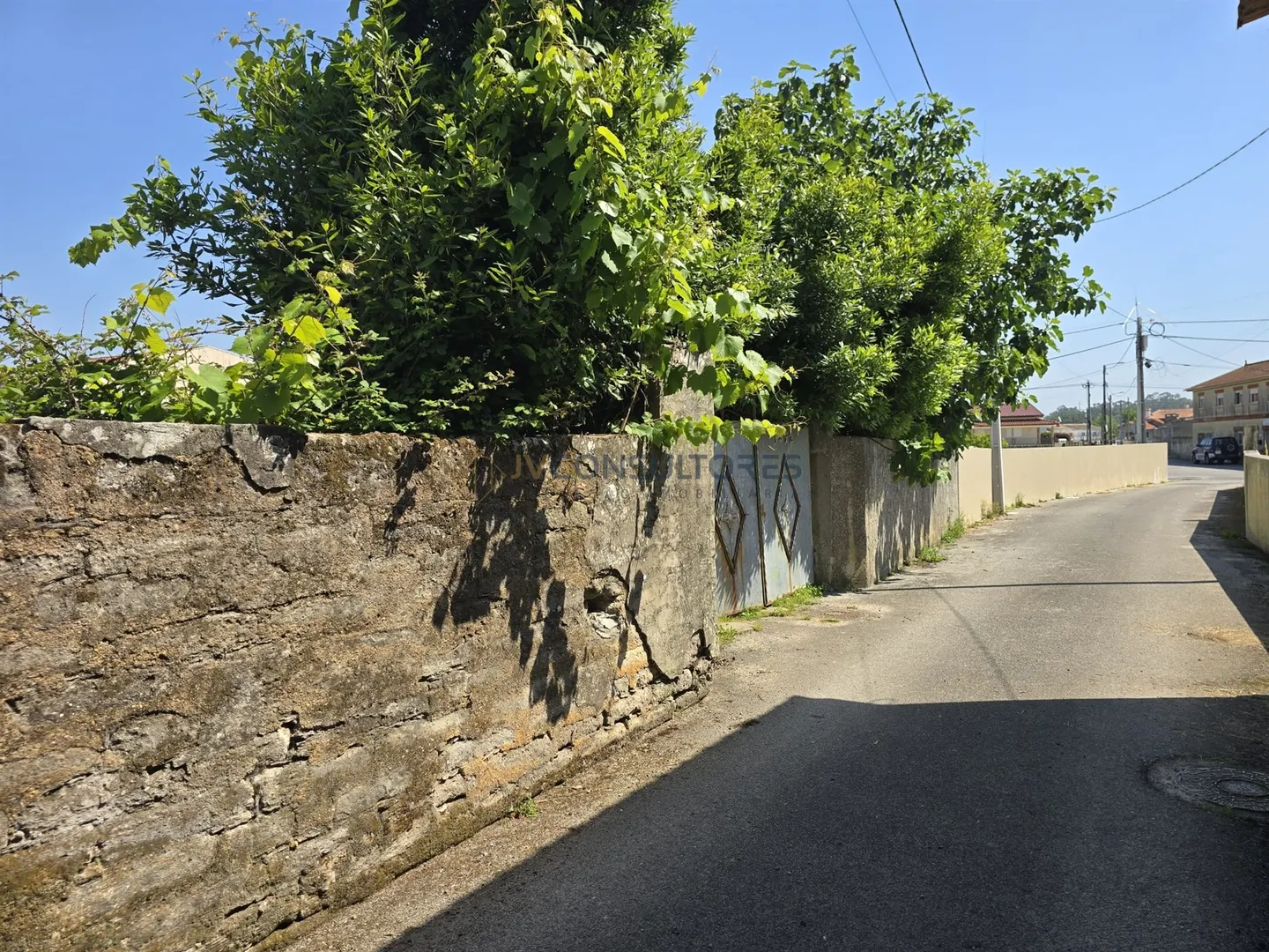 img_0