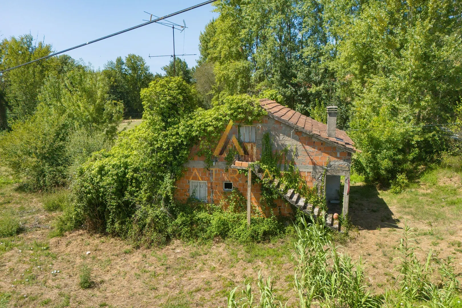 img_3