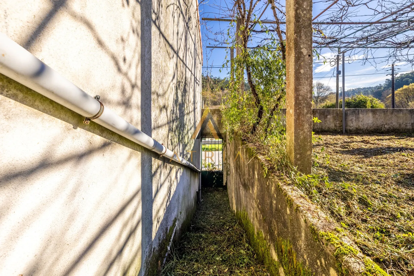 img_10