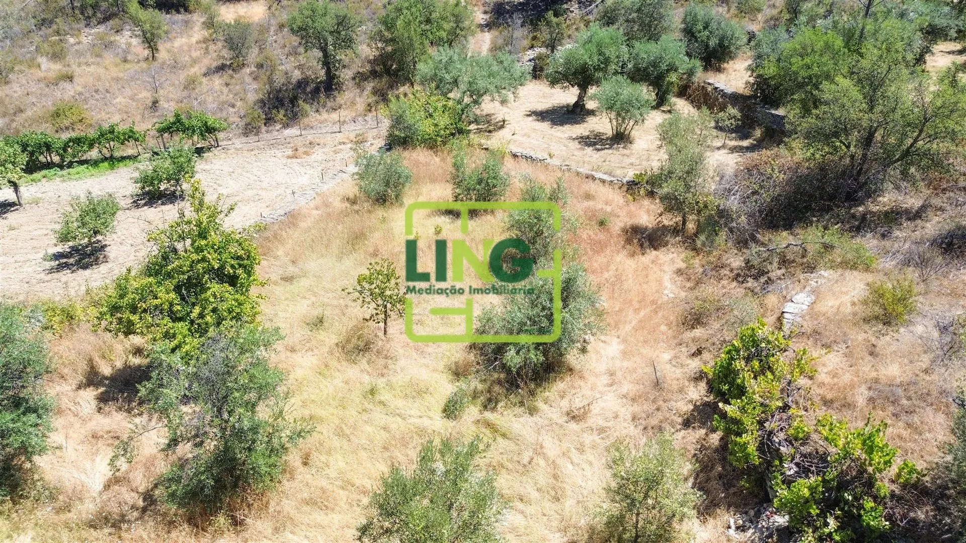 img_87