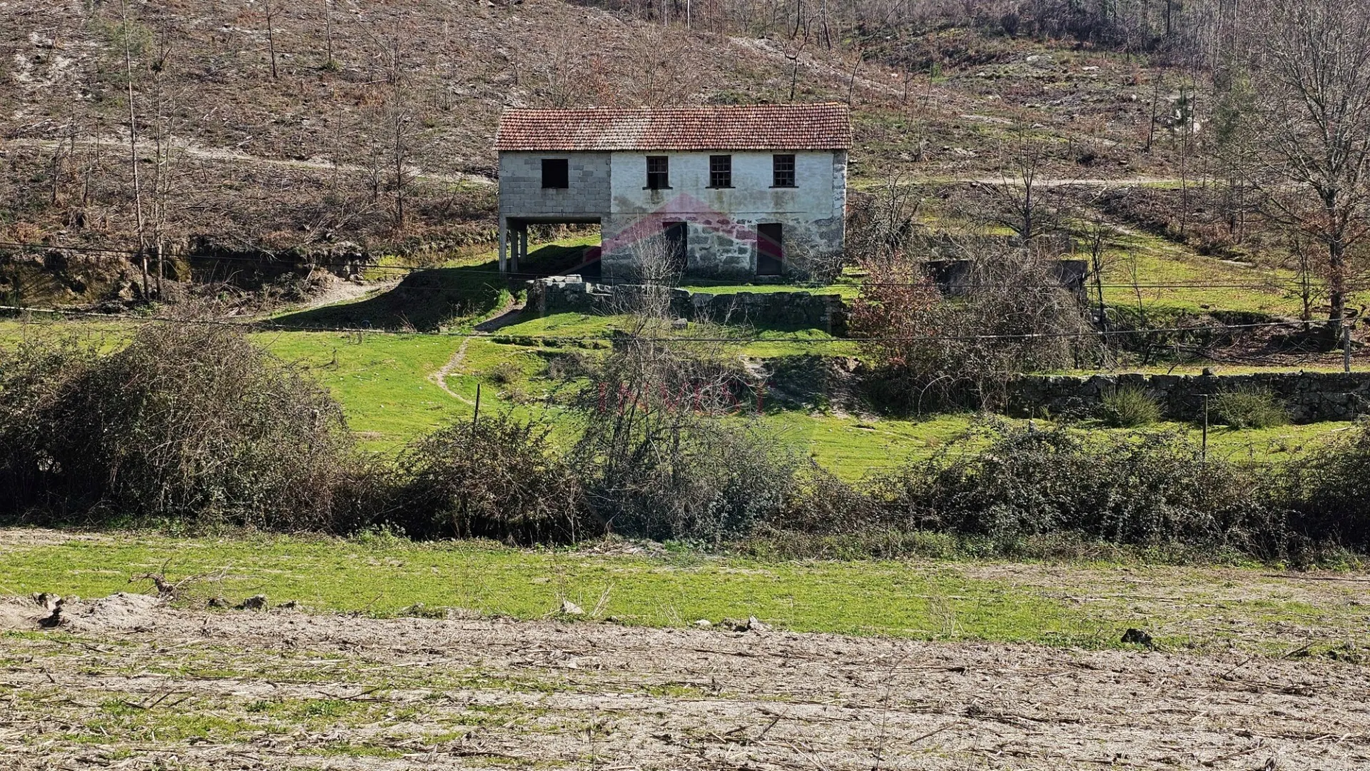 img_0