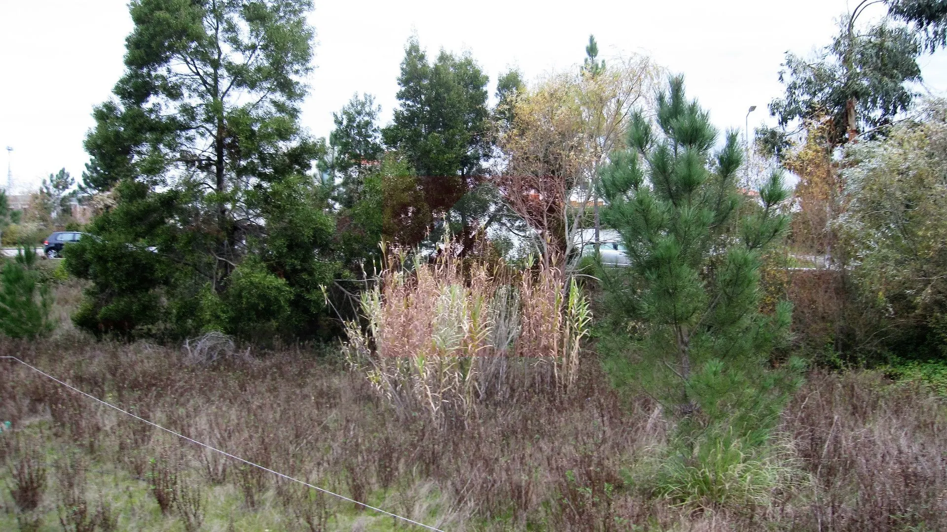 img_0