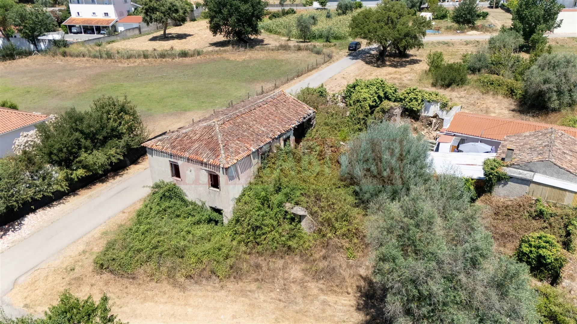 img_6