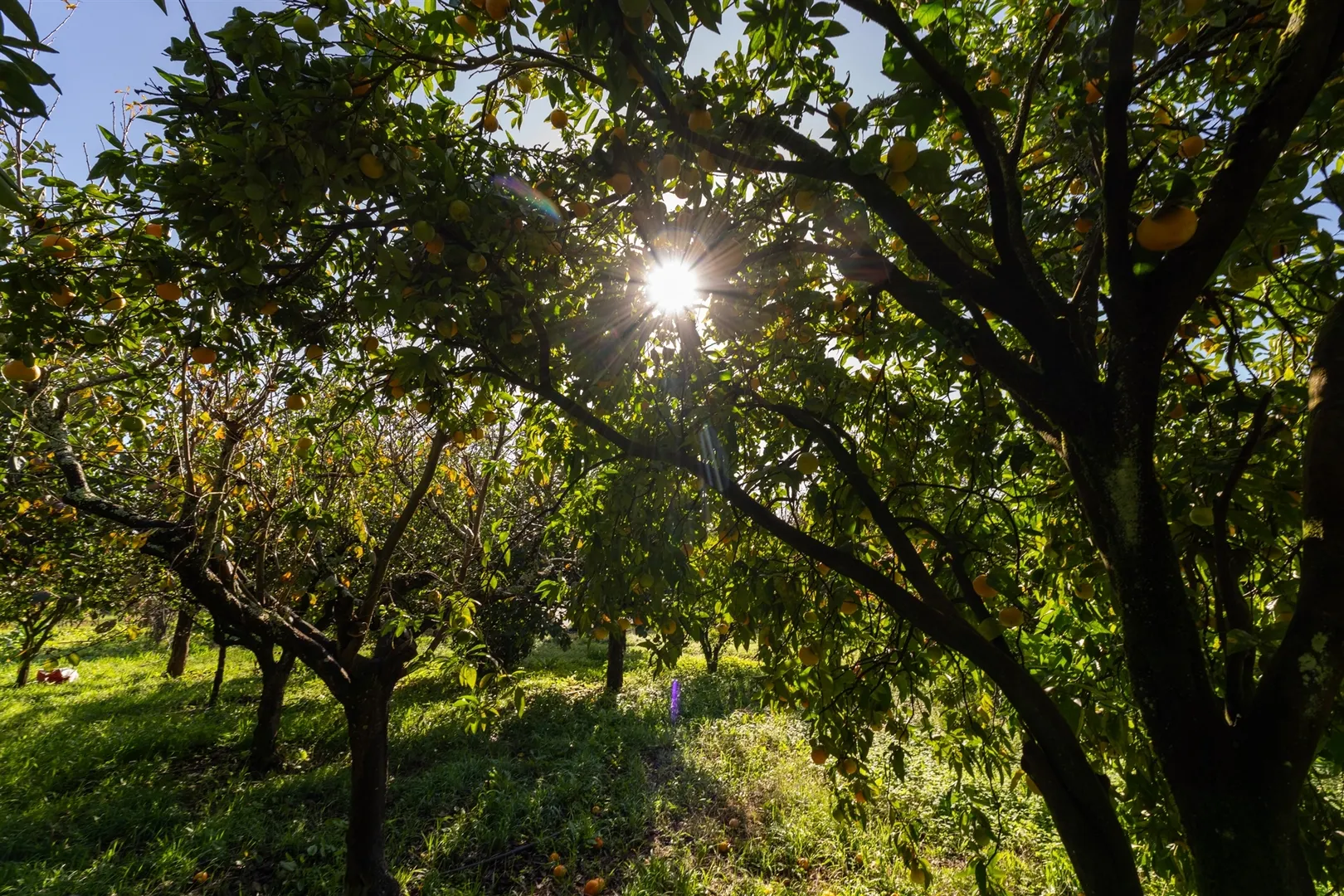 img_35