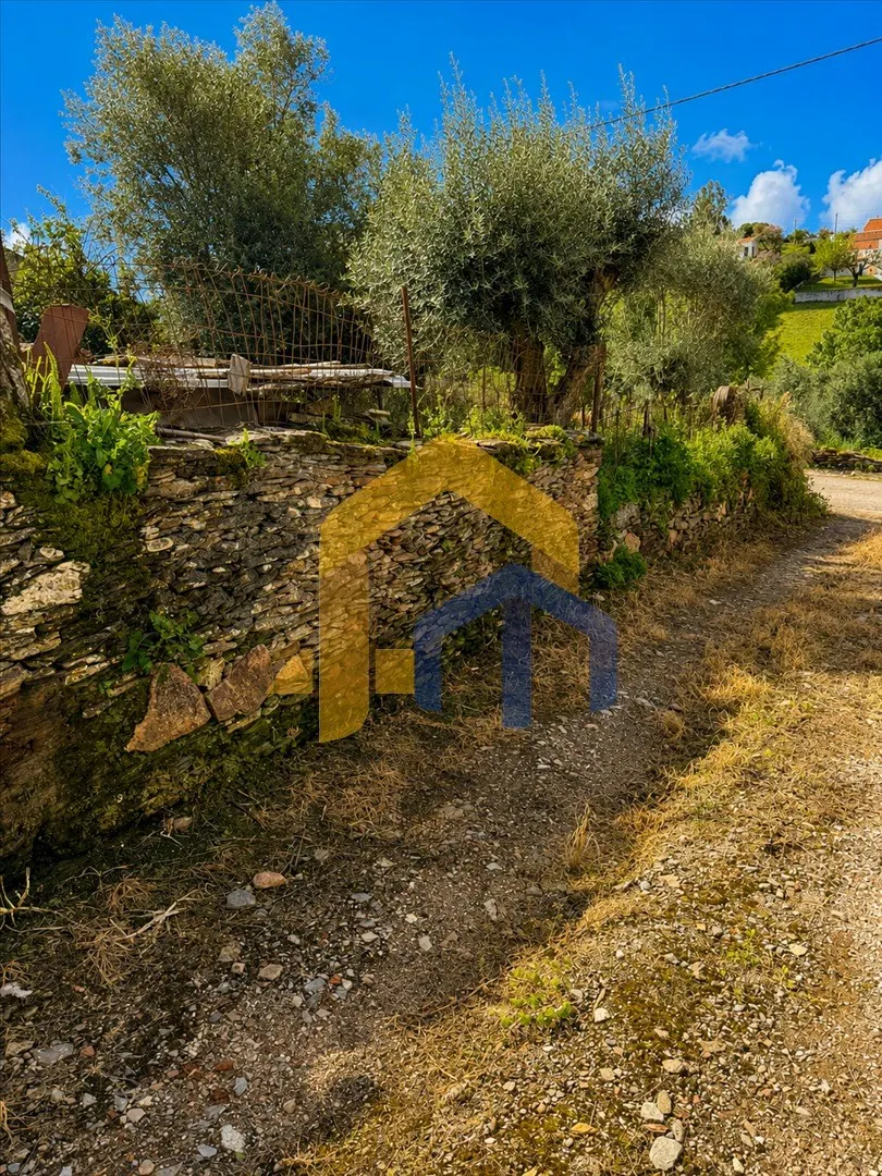 img_47