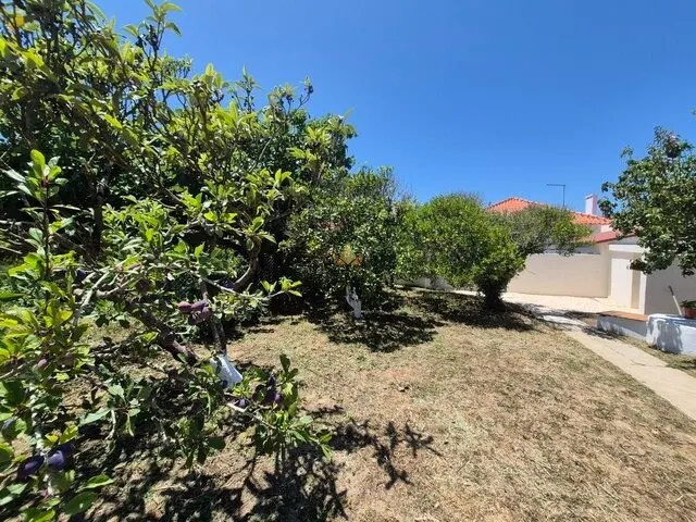 img_21