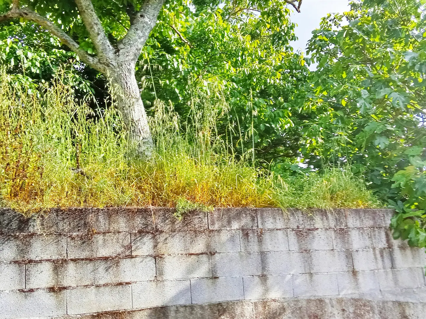 img_2