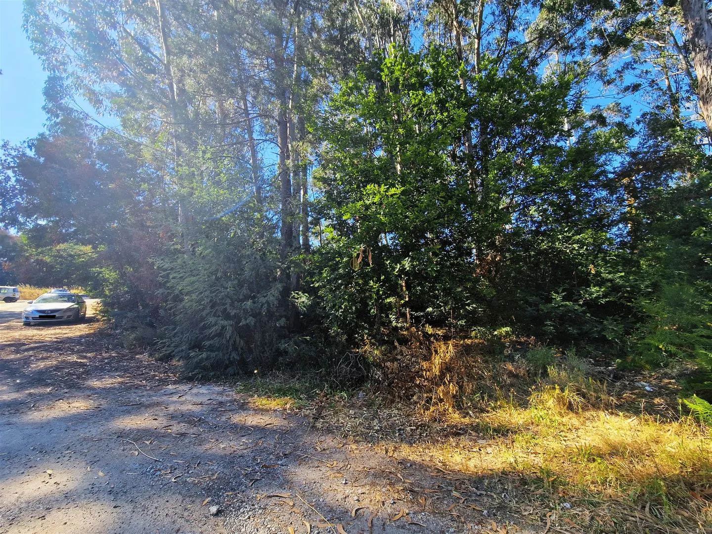 img_8
