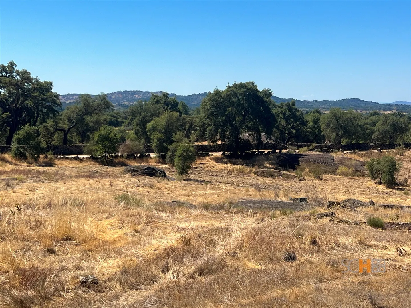 img_50