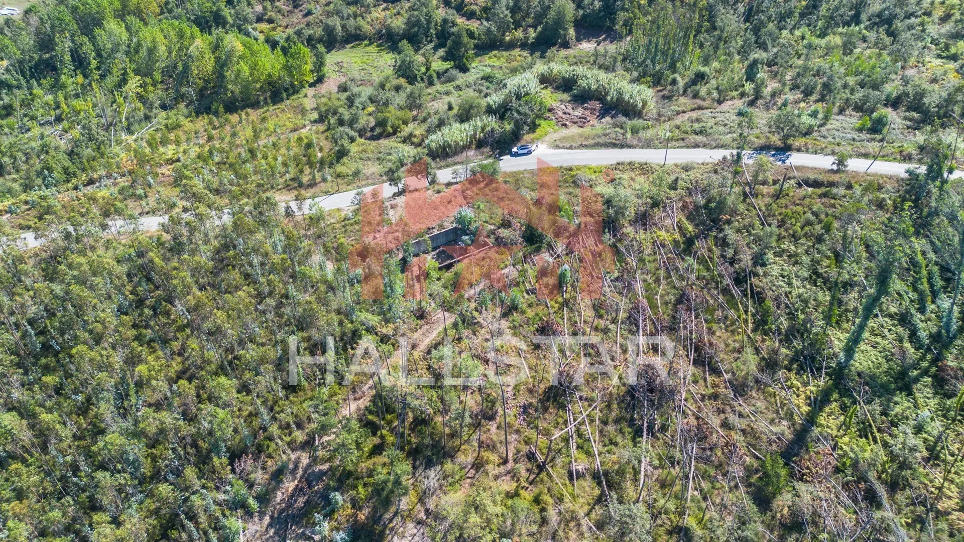 img_17