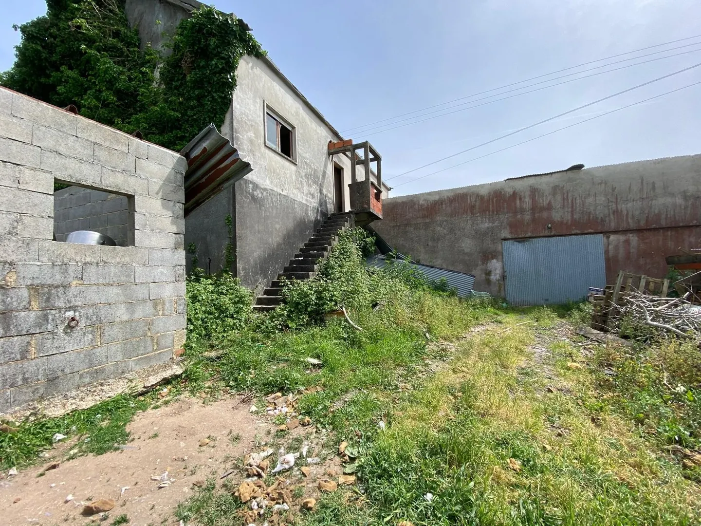 img_0