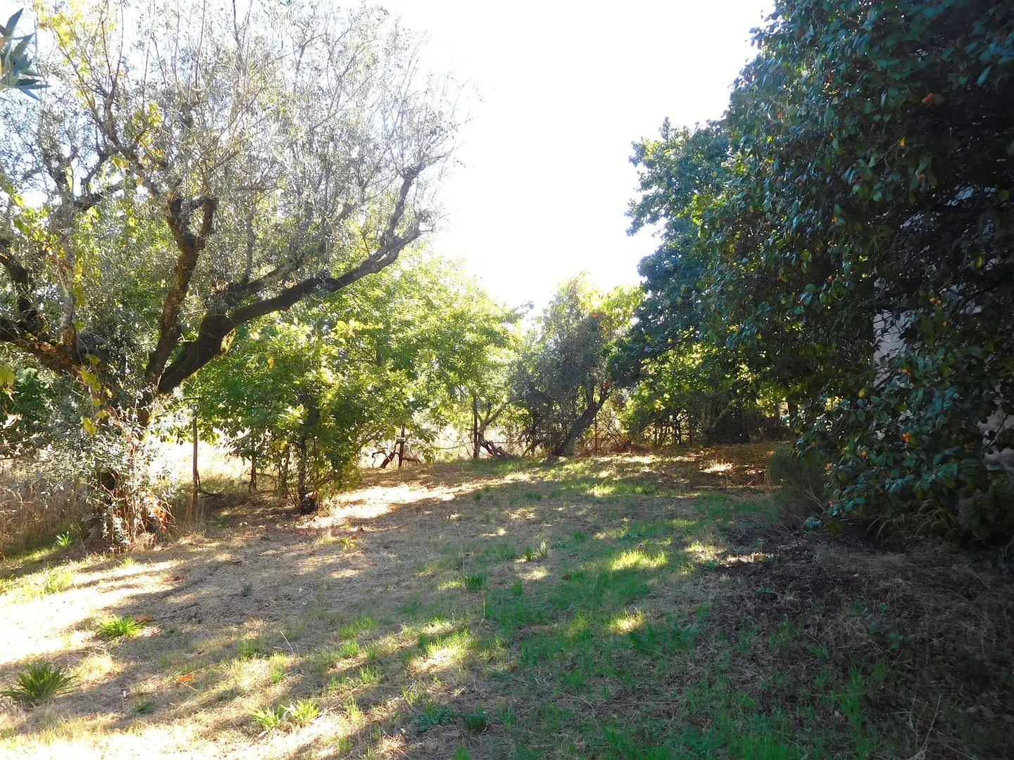 img_44