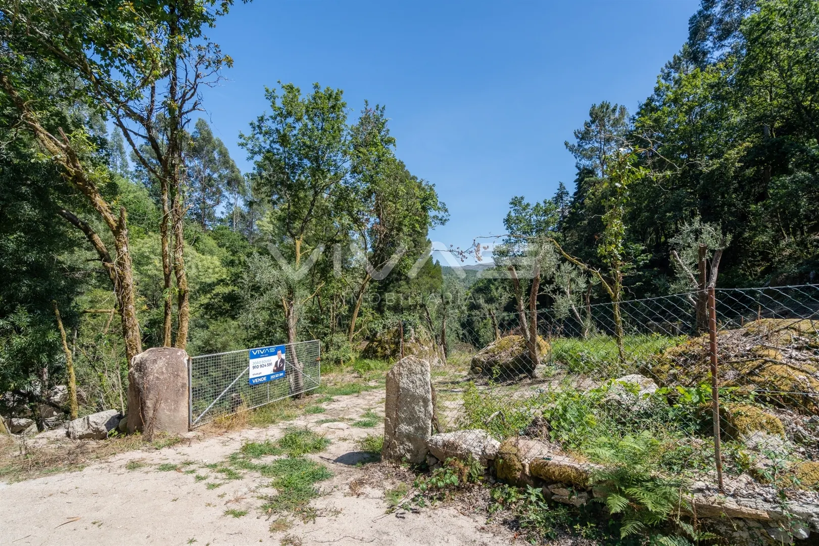 img_3