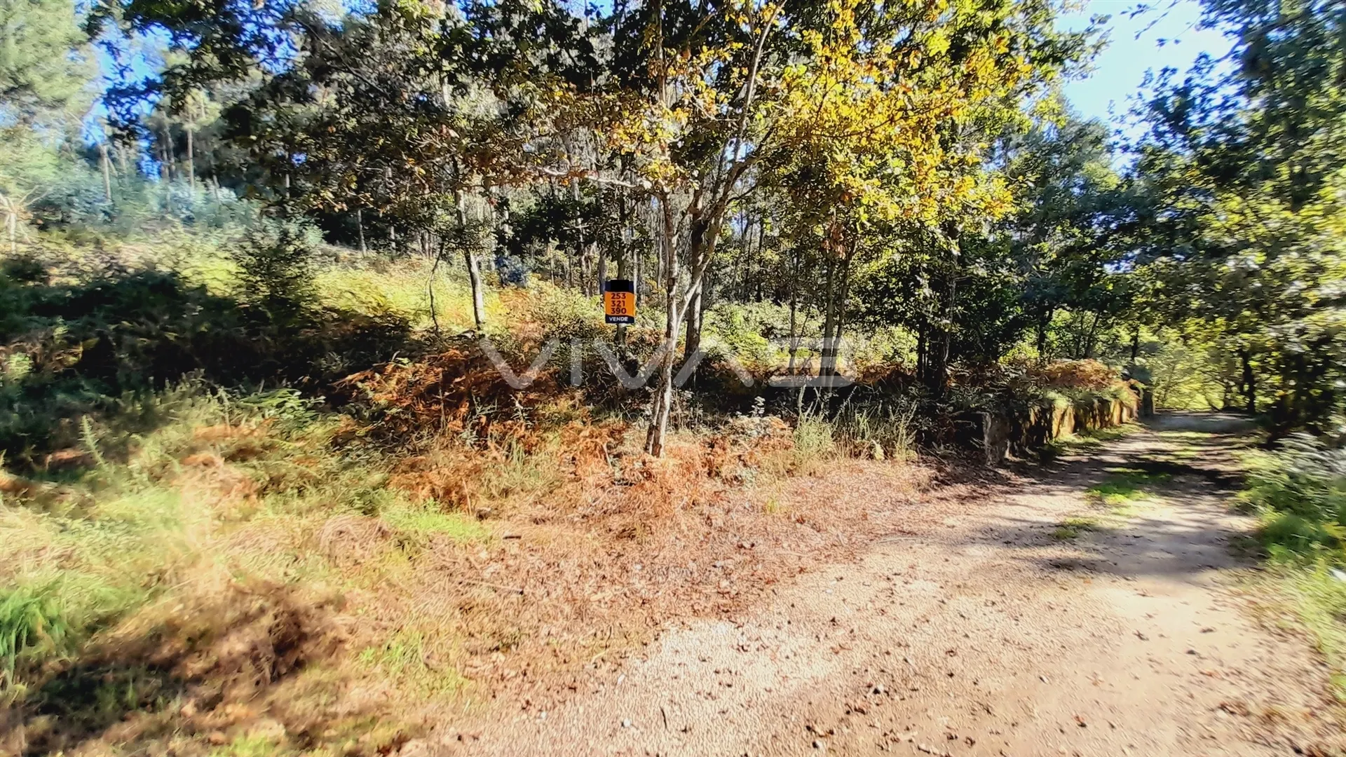 img_0