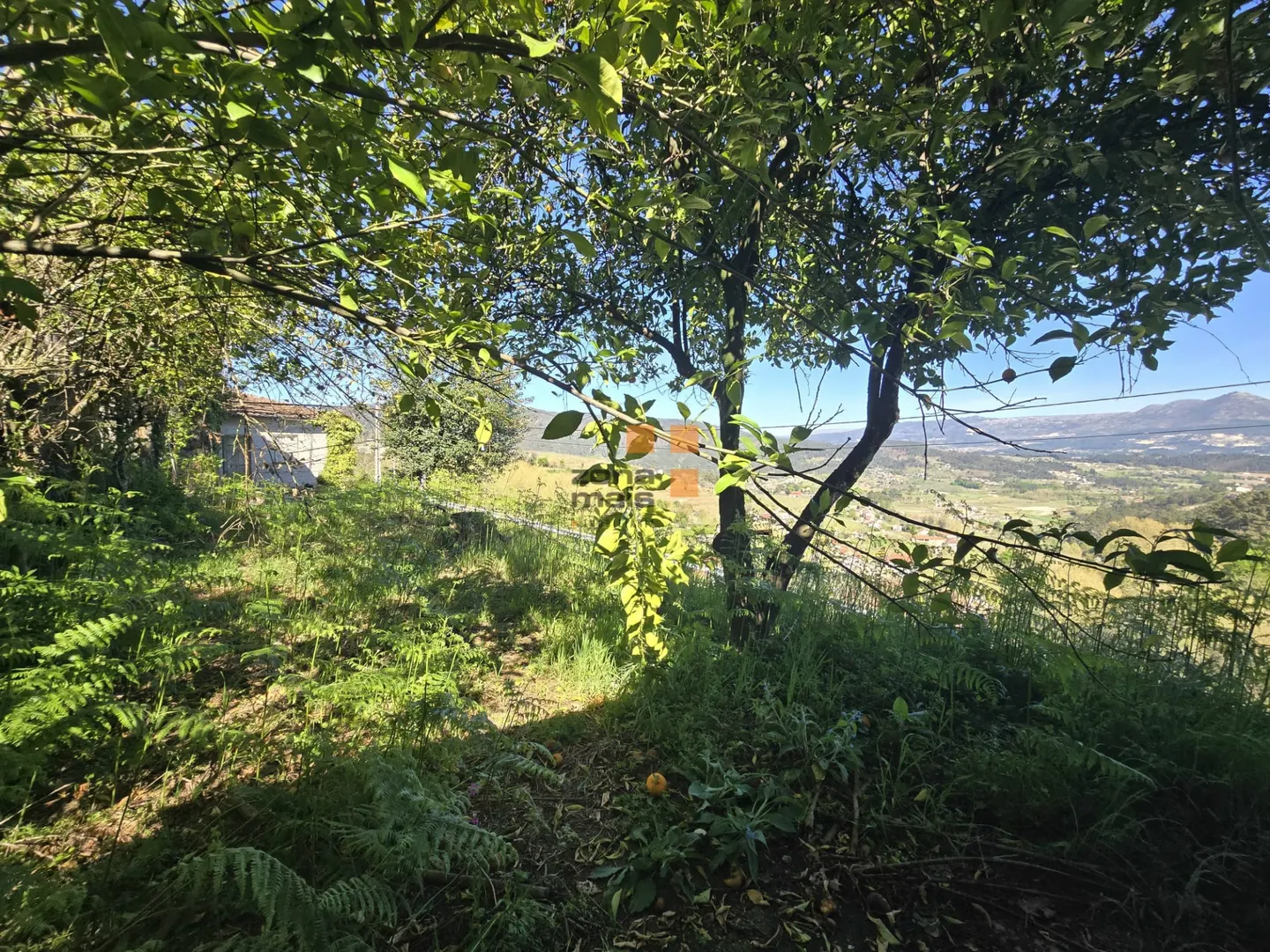 img_35