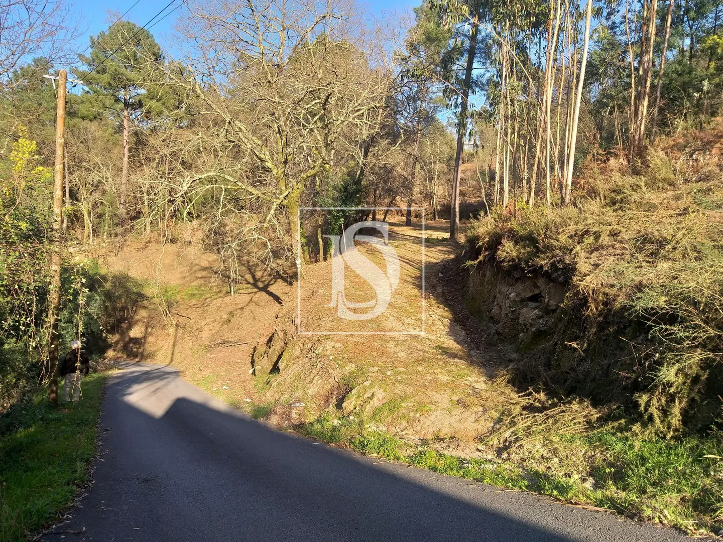Terreno
