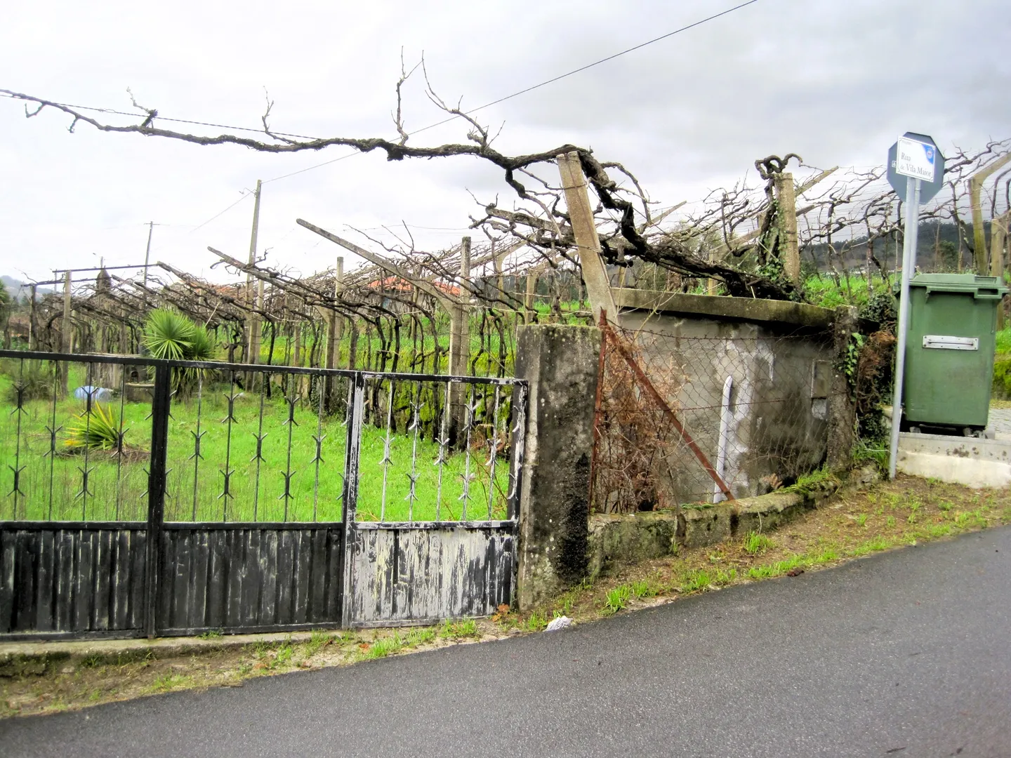 Terreno
