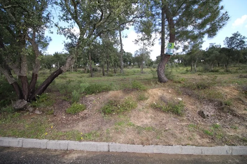 Terreno