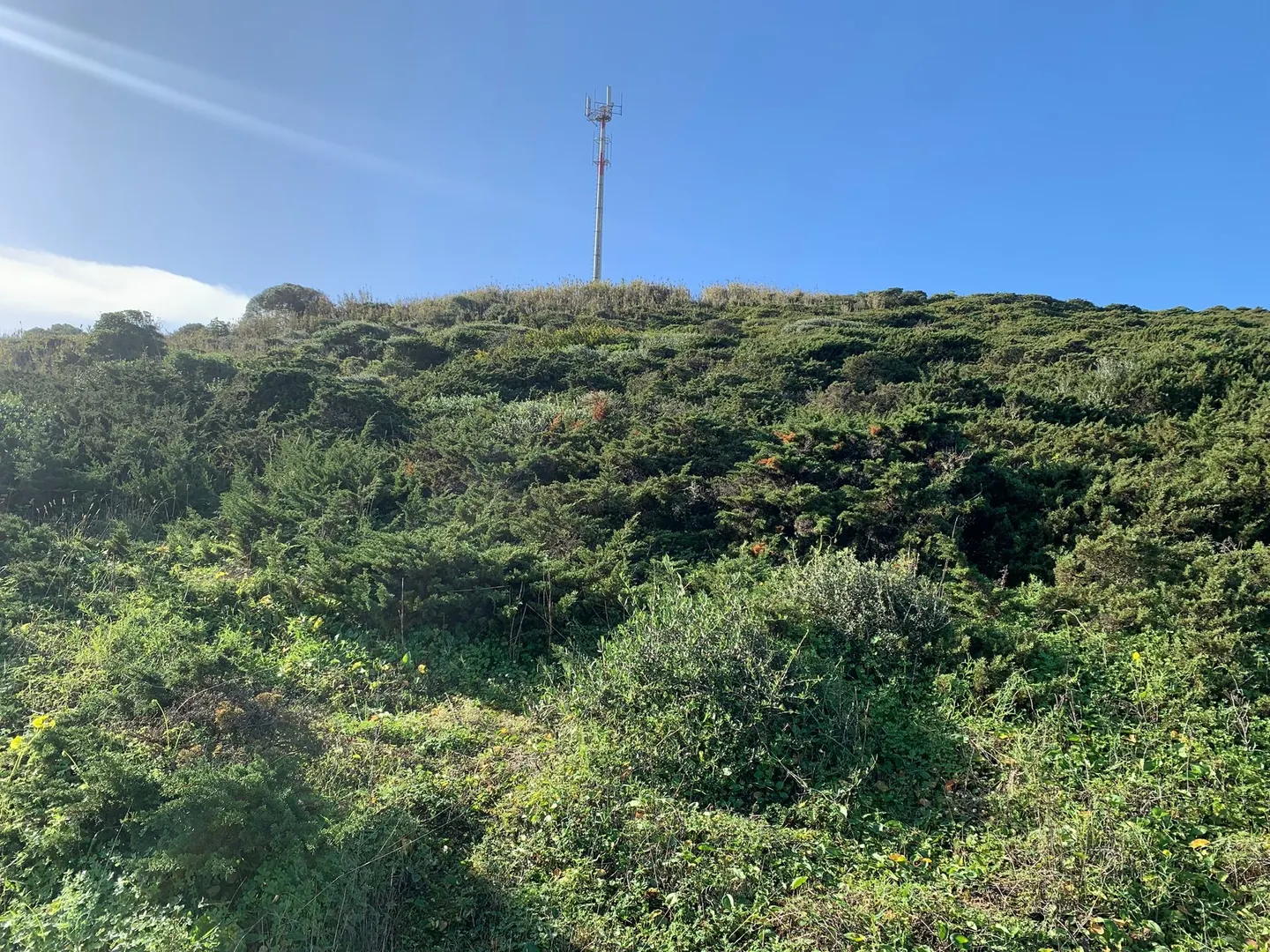 Terreno