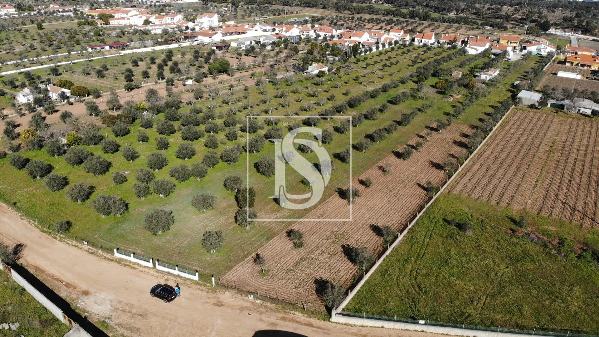 Terreno