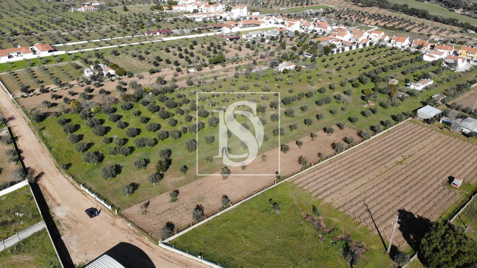 Terreno