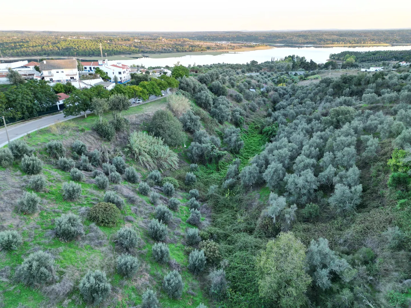 Terreno