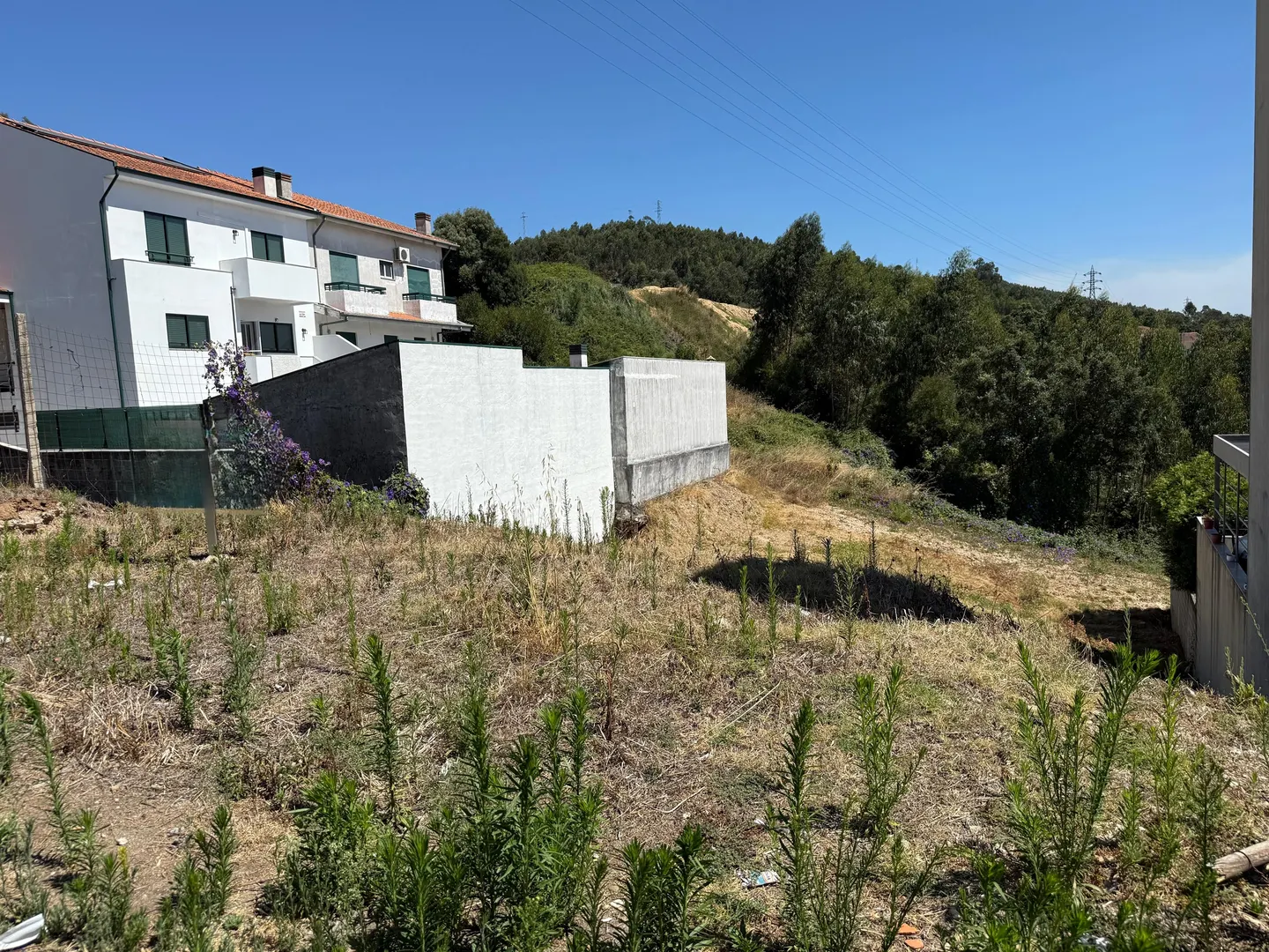 Terreno