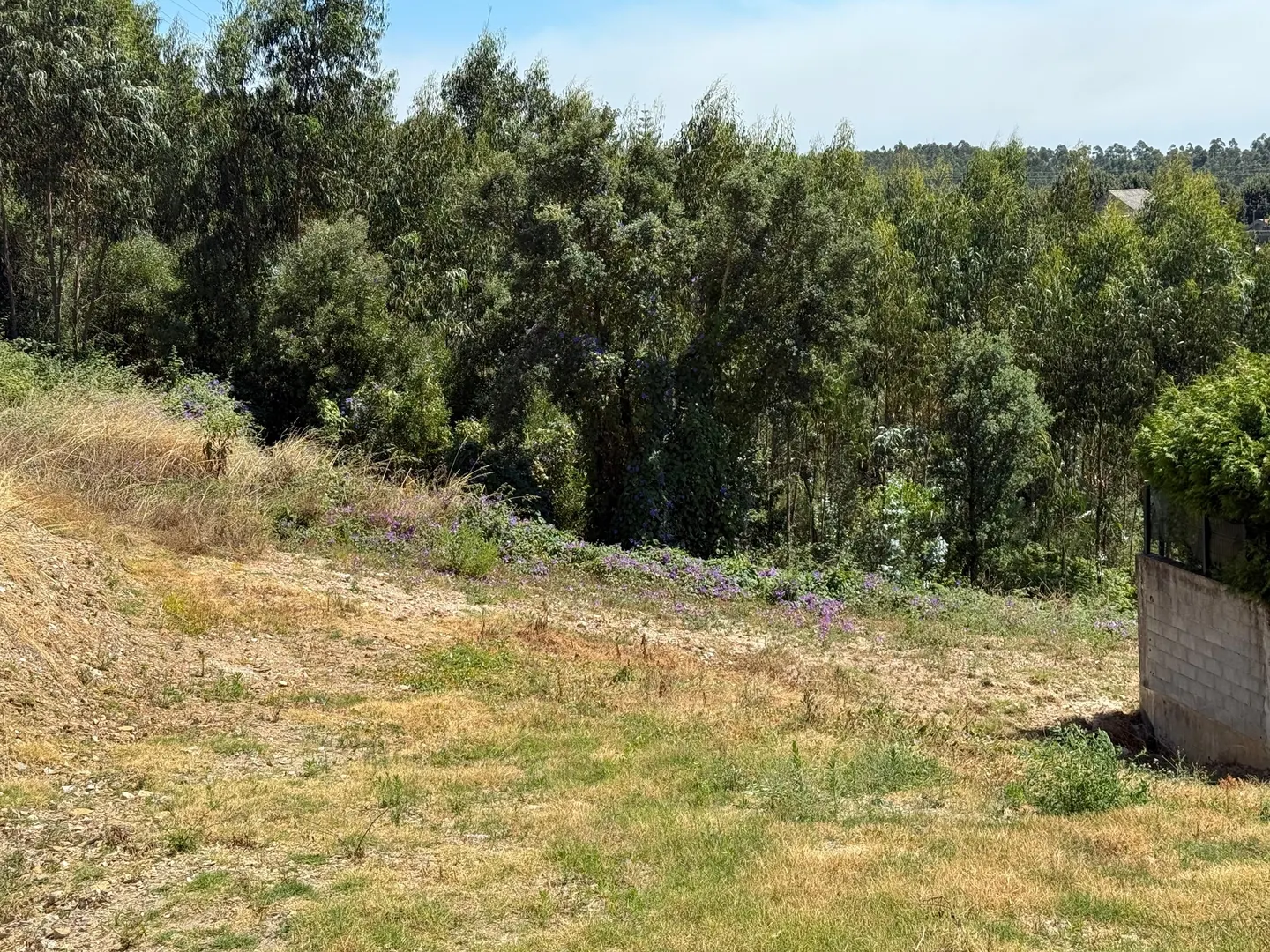 Terreno