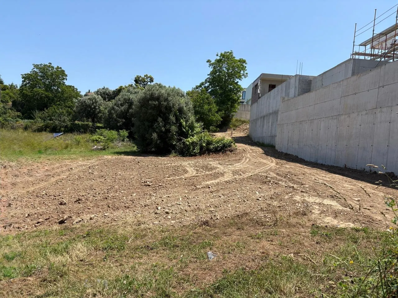 Terreno