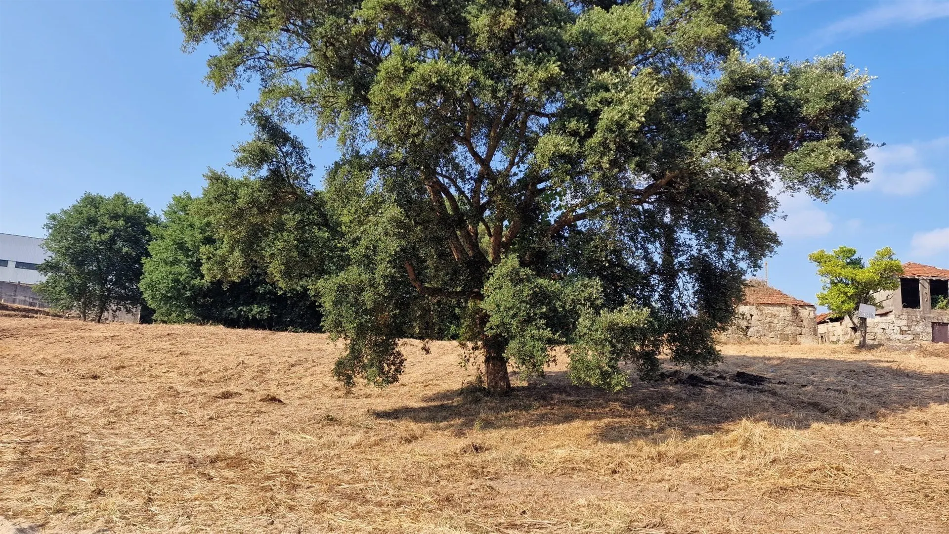 Quinta em Mouriz, Paredes
