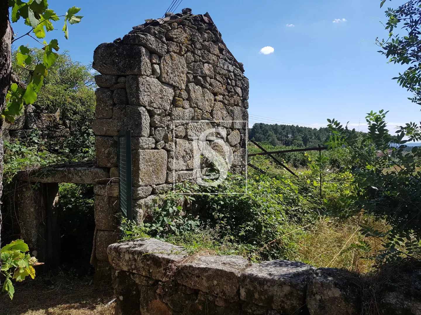 Quinta