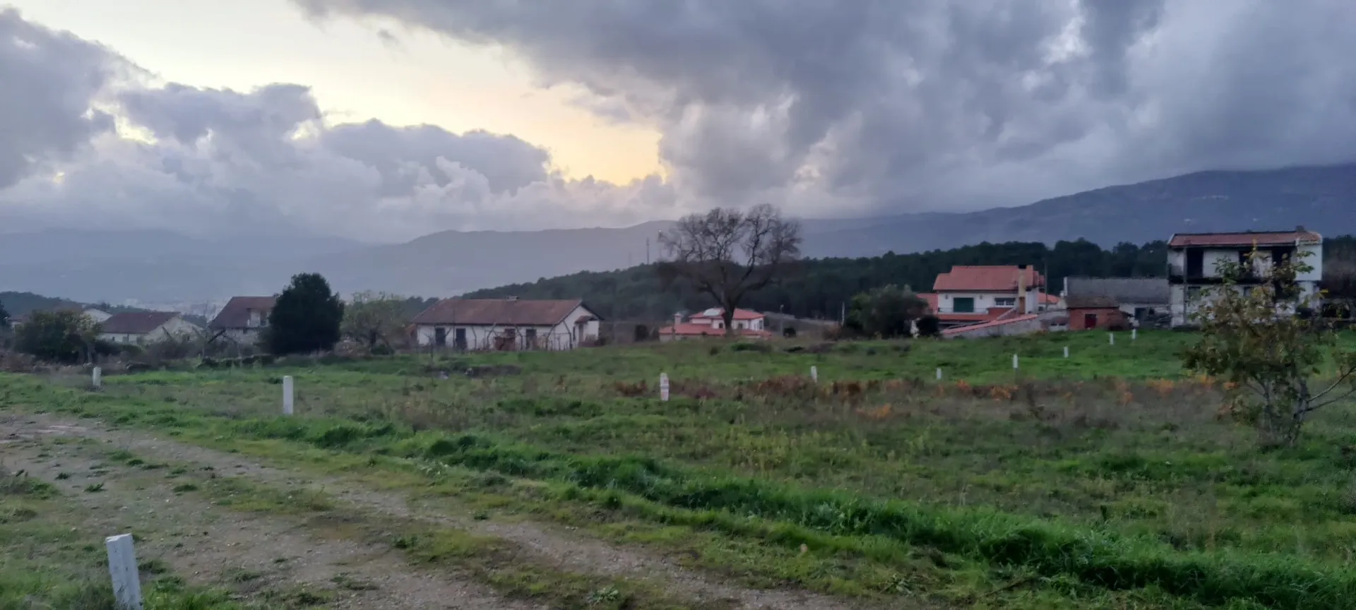 Terreno