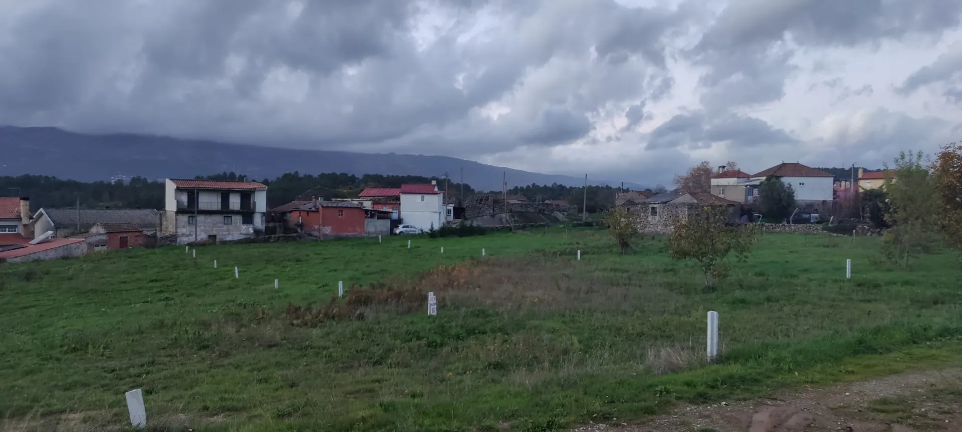 Terreno
