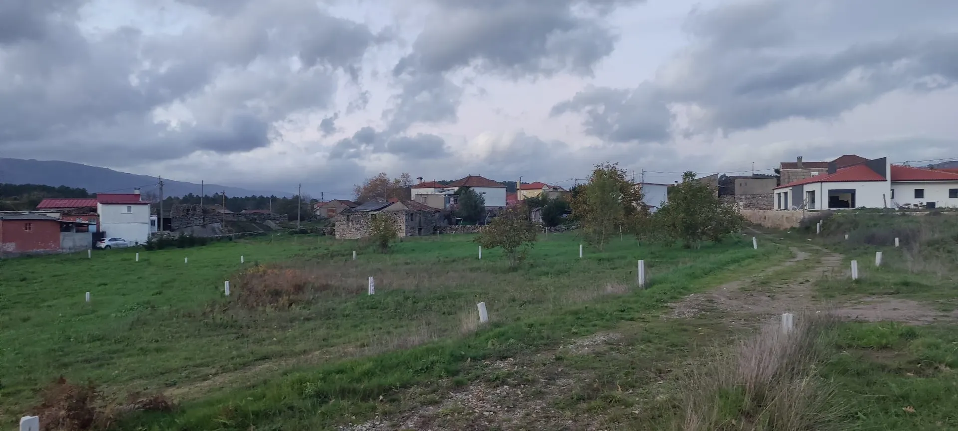 Terreno