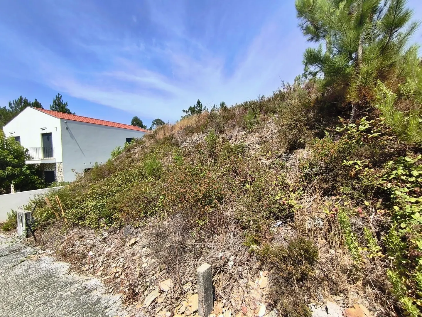 Lote de Terreno