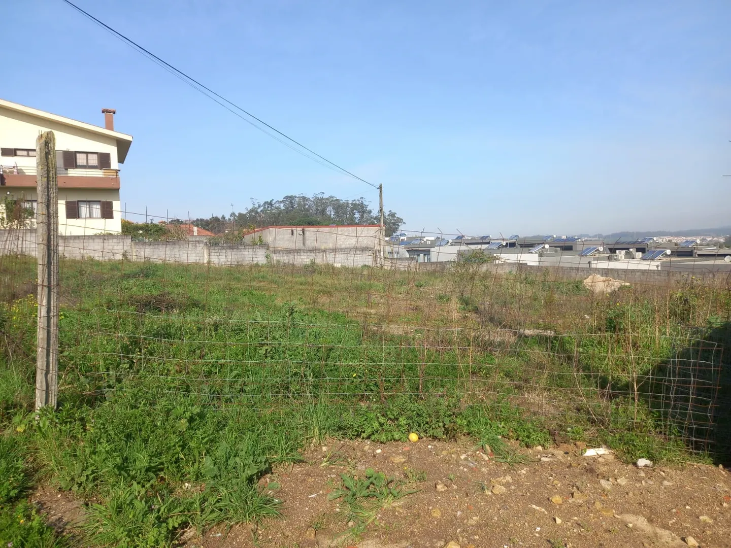 Terreno