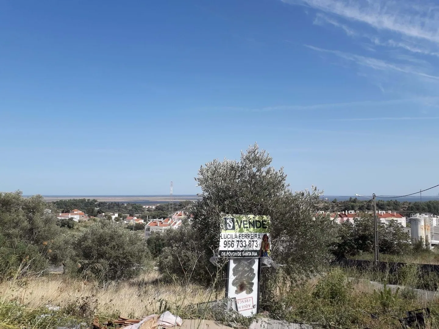 Terreno