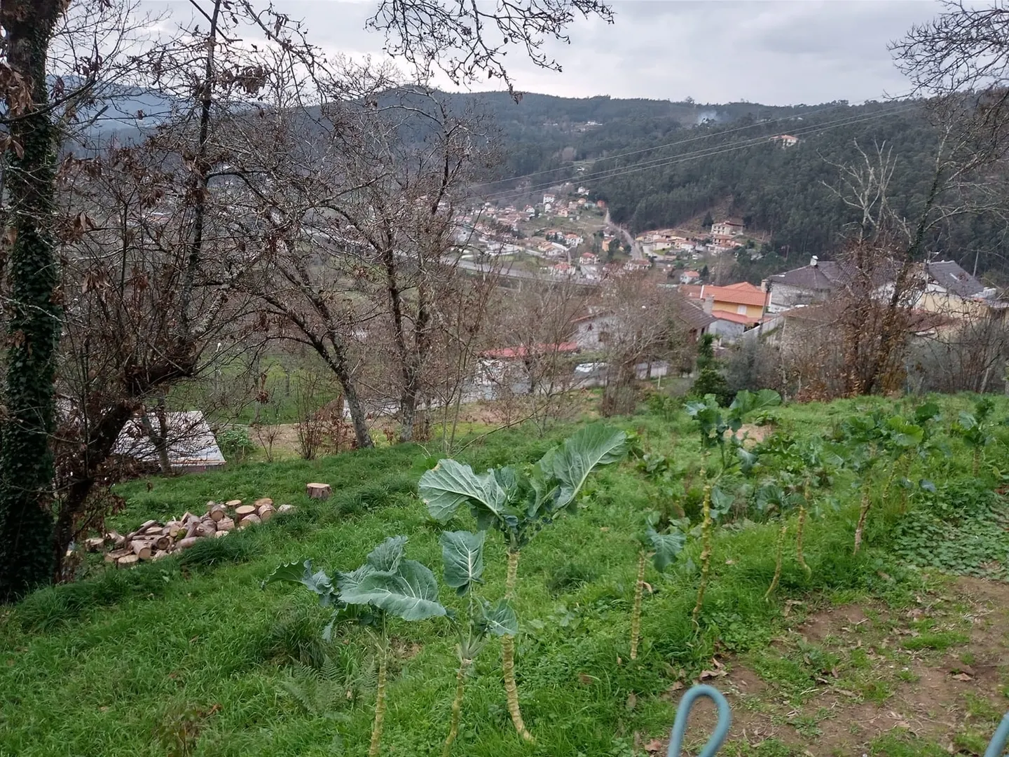 Terreno