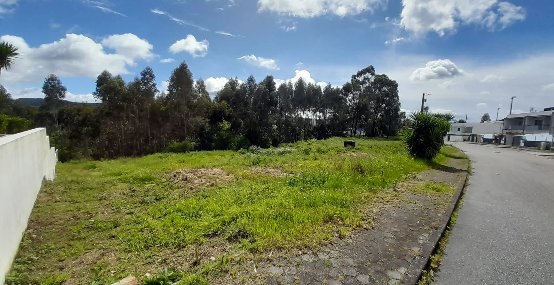 Terreno
