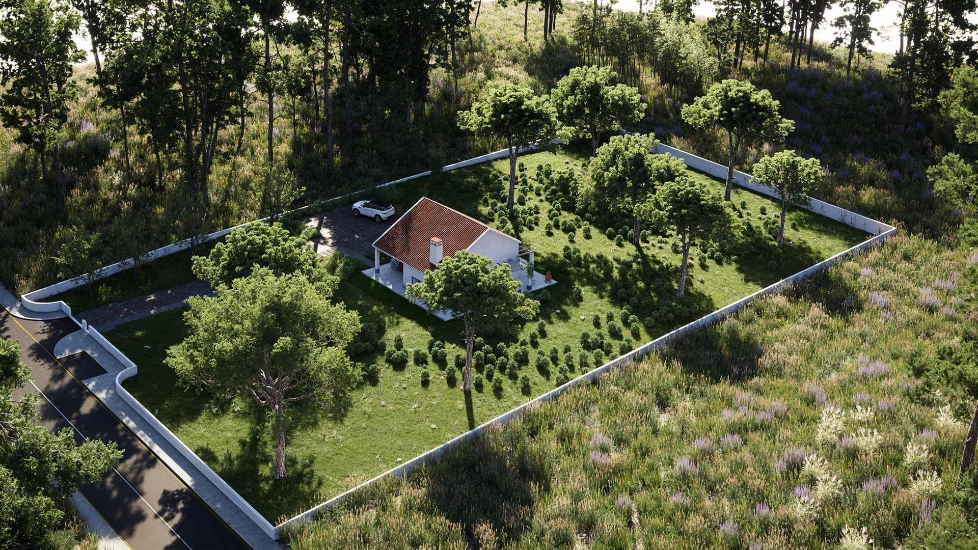 Terreno