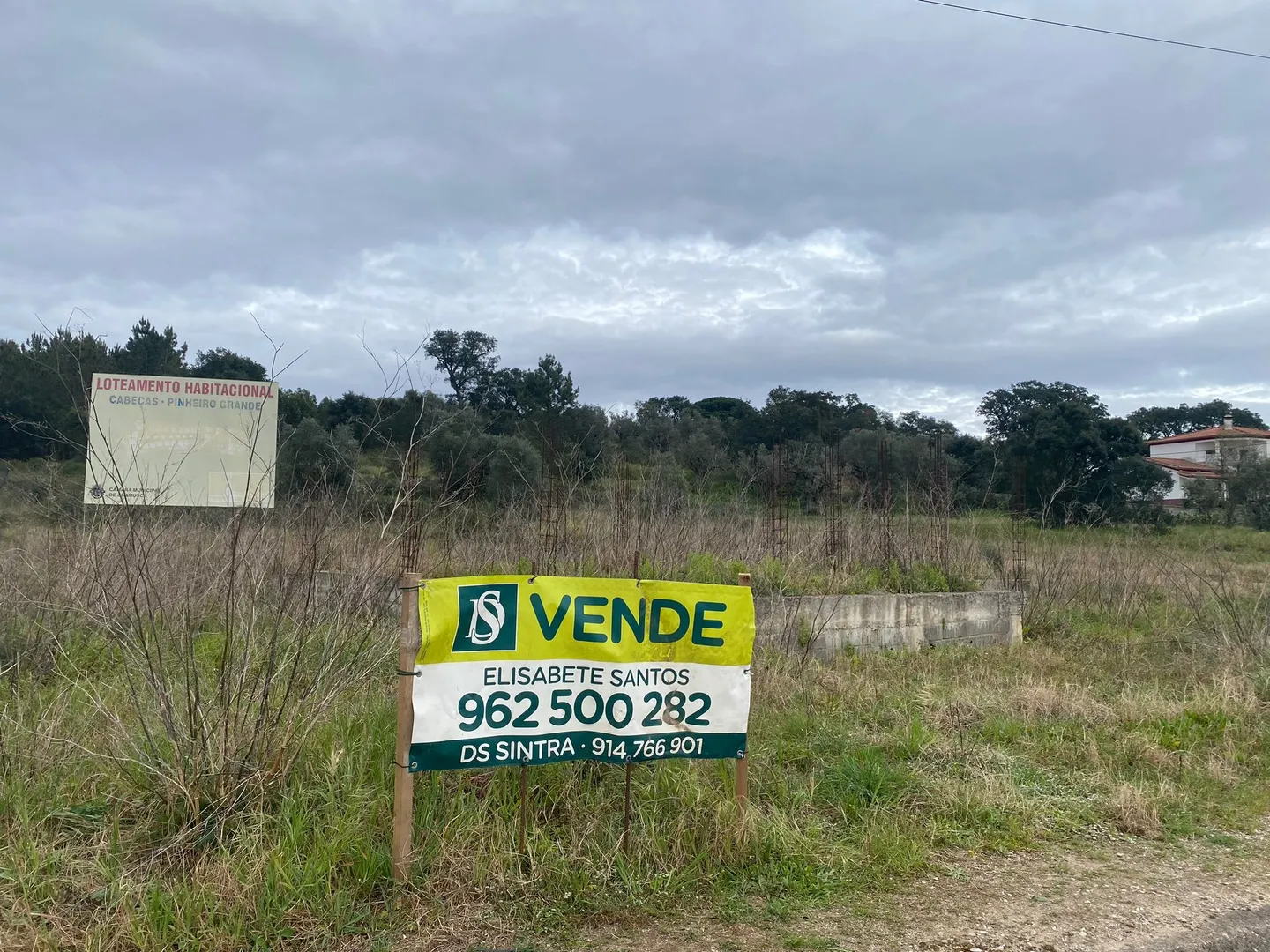Terreno