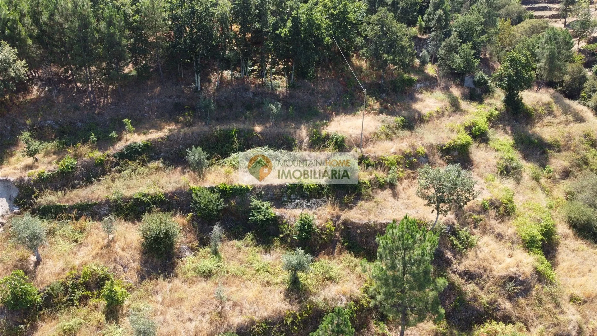 img_4