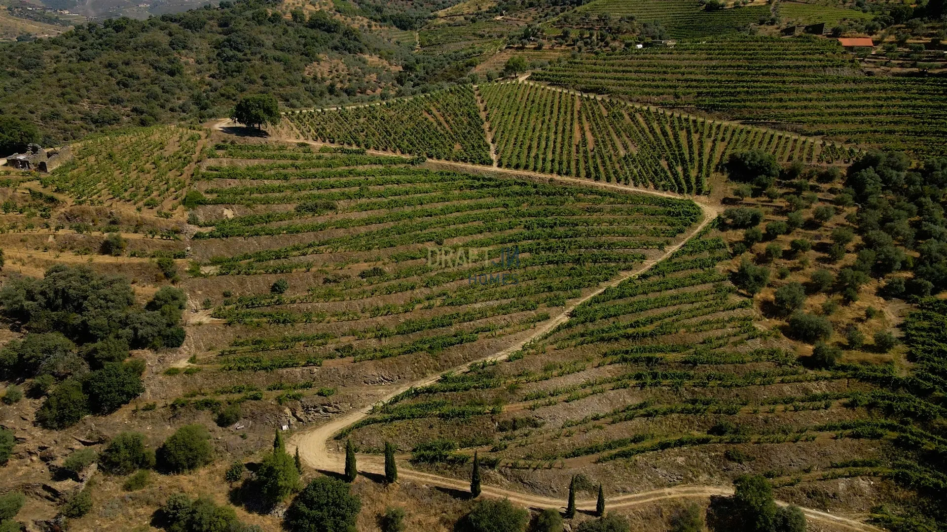 img_5
