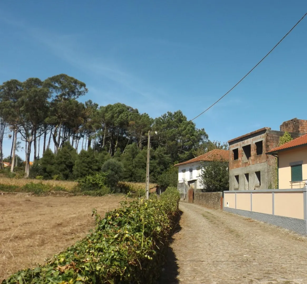 Terreno, Caminha, Venade e Azevedo