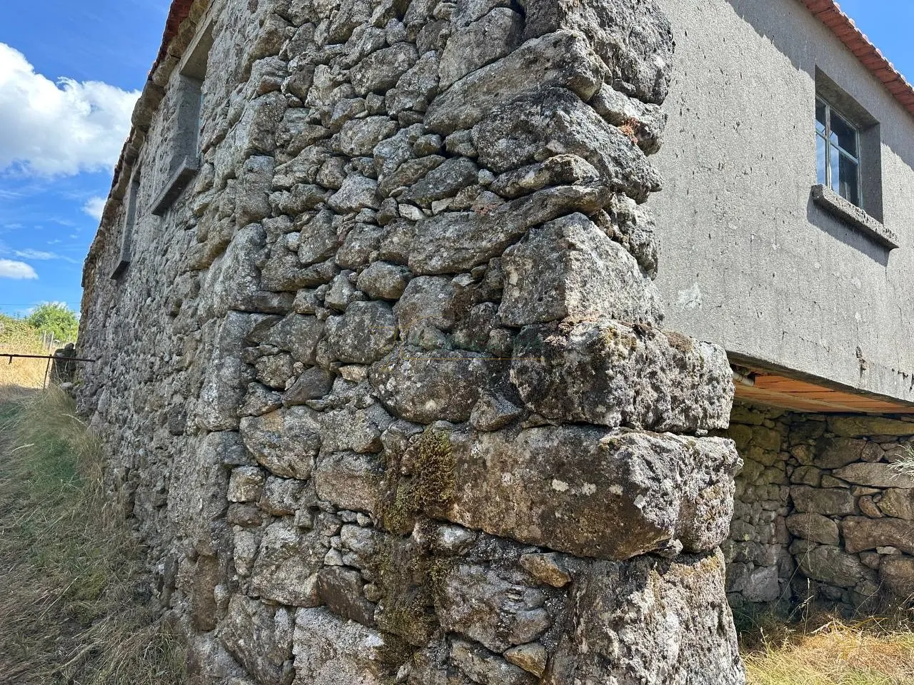 img_1