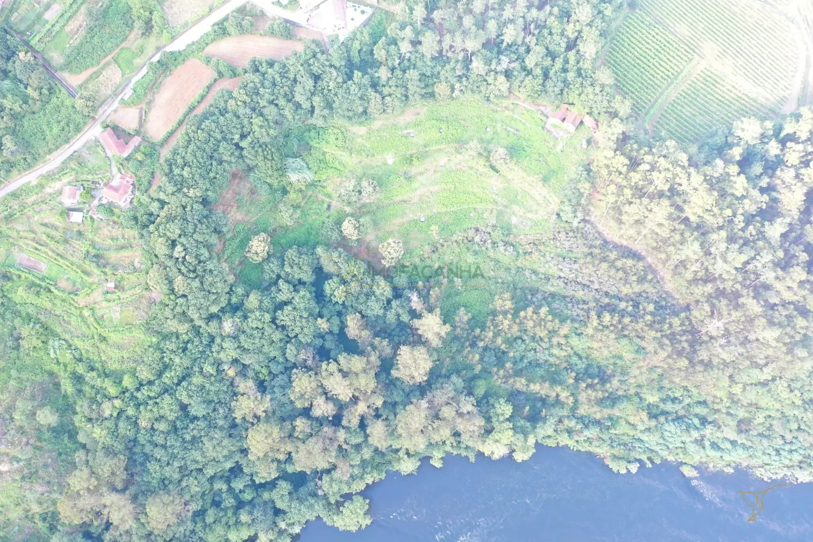 img_7