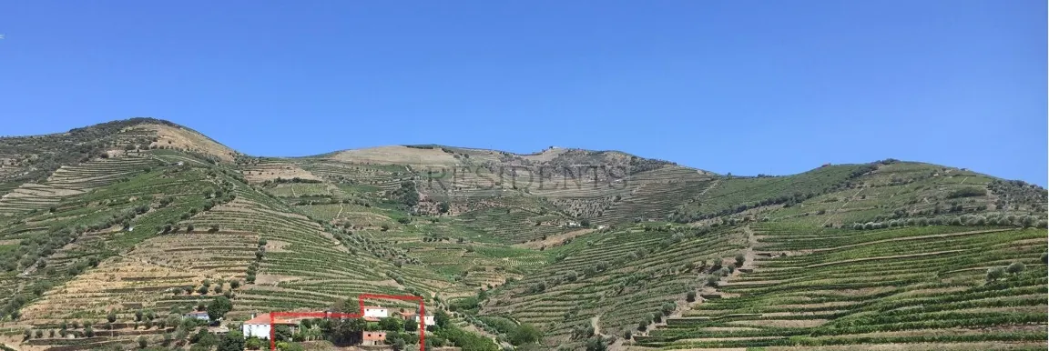 img_29